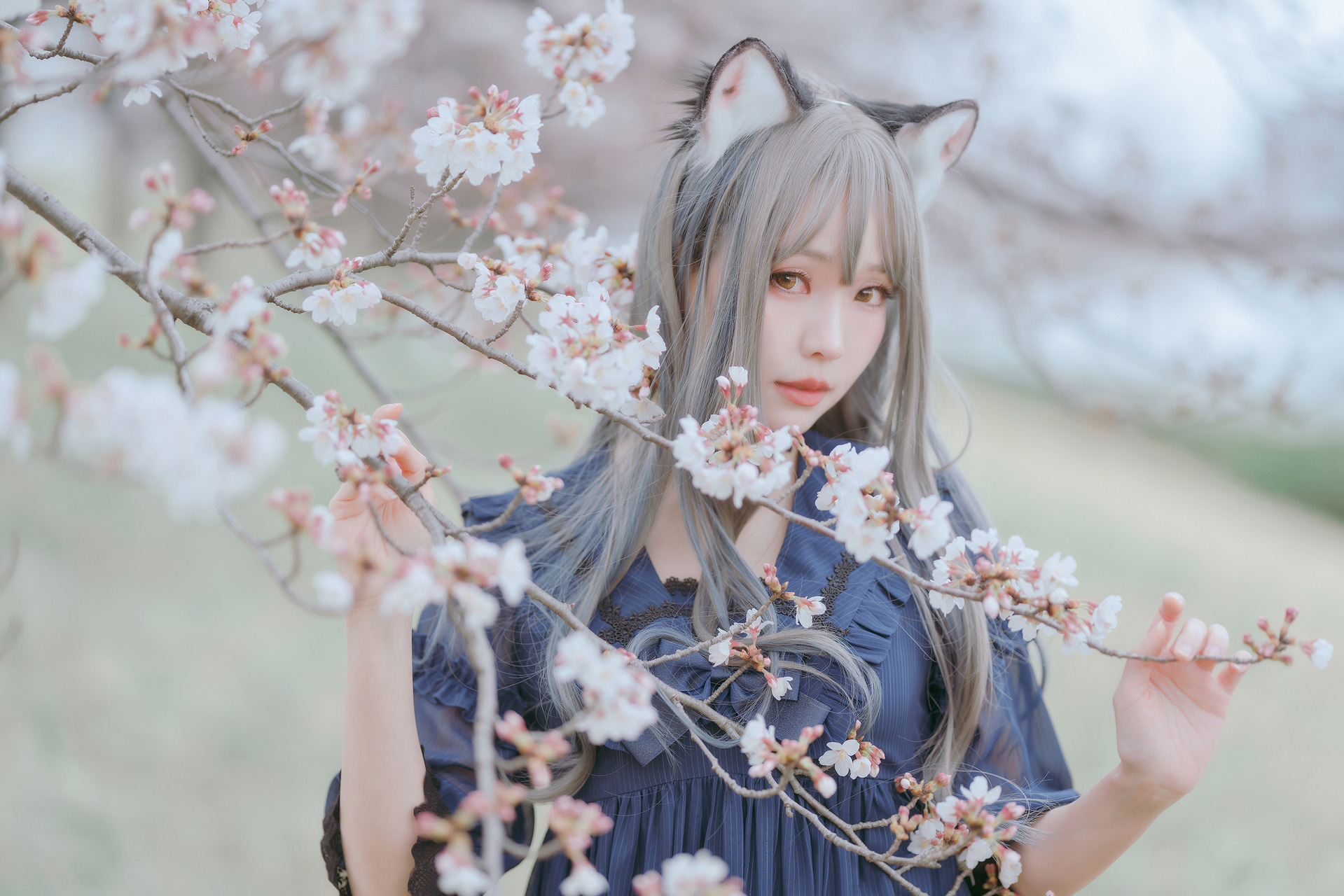 [Ely] Sakura桜 2021 Nekomimi Ver.(8)