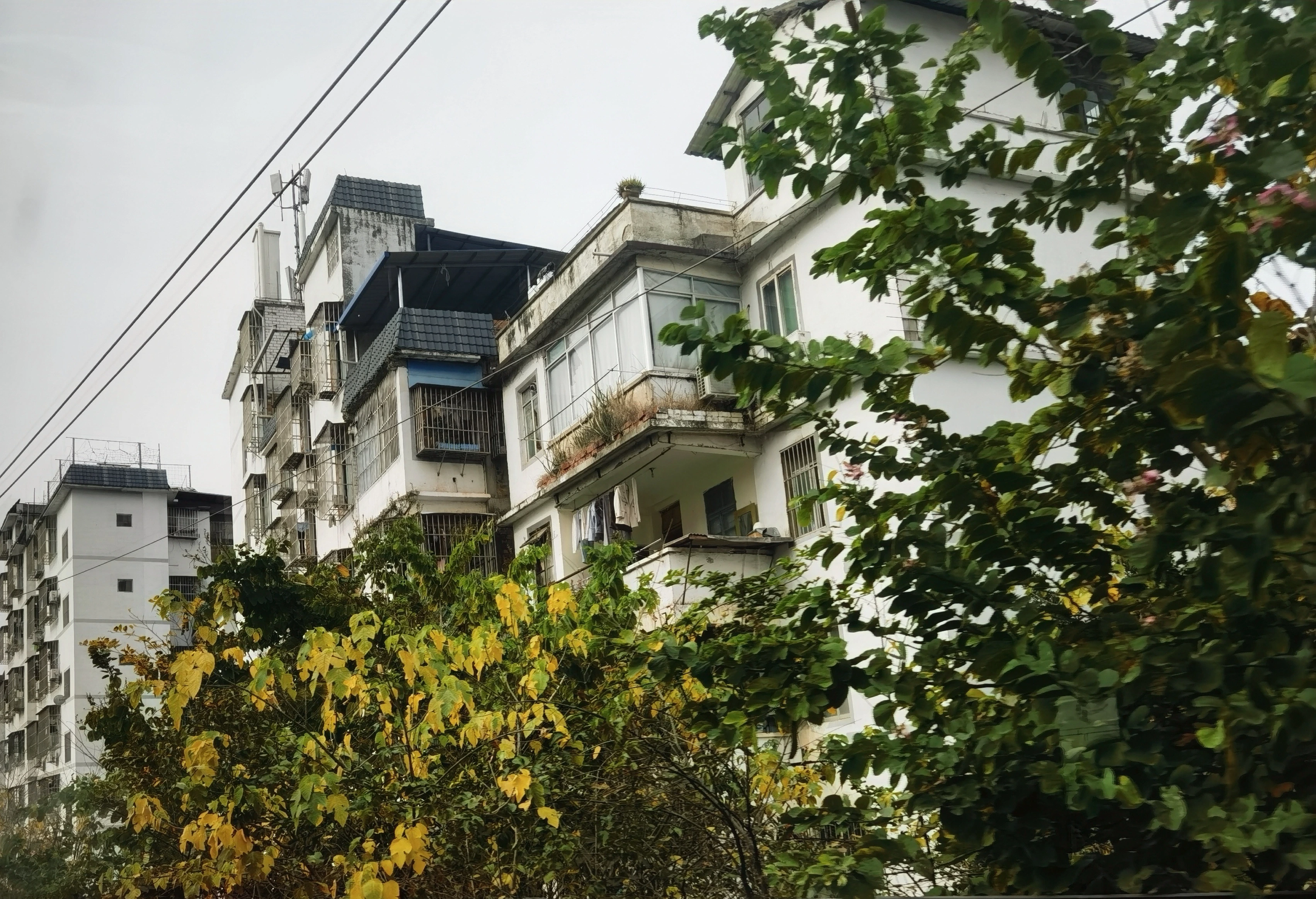 回老家喽～！✋再见南宁🤚。