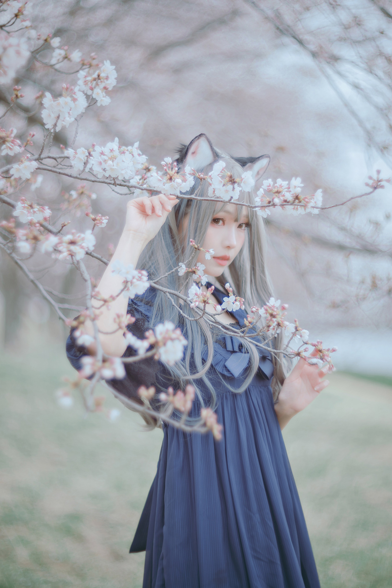 [Ely] Sakura桜 2021 Nekomimi Ver.(10)